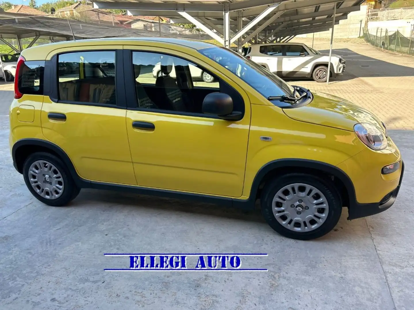 Fiat Panda PROMO FINANZ.PANDINA 1.0  Hybrid  KM  0 Giallo - 2