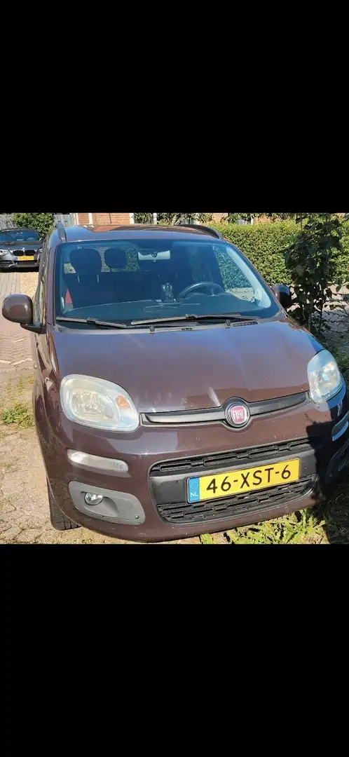 Fiat Panda 0.9 TwinAir Lounge Marrón - 1