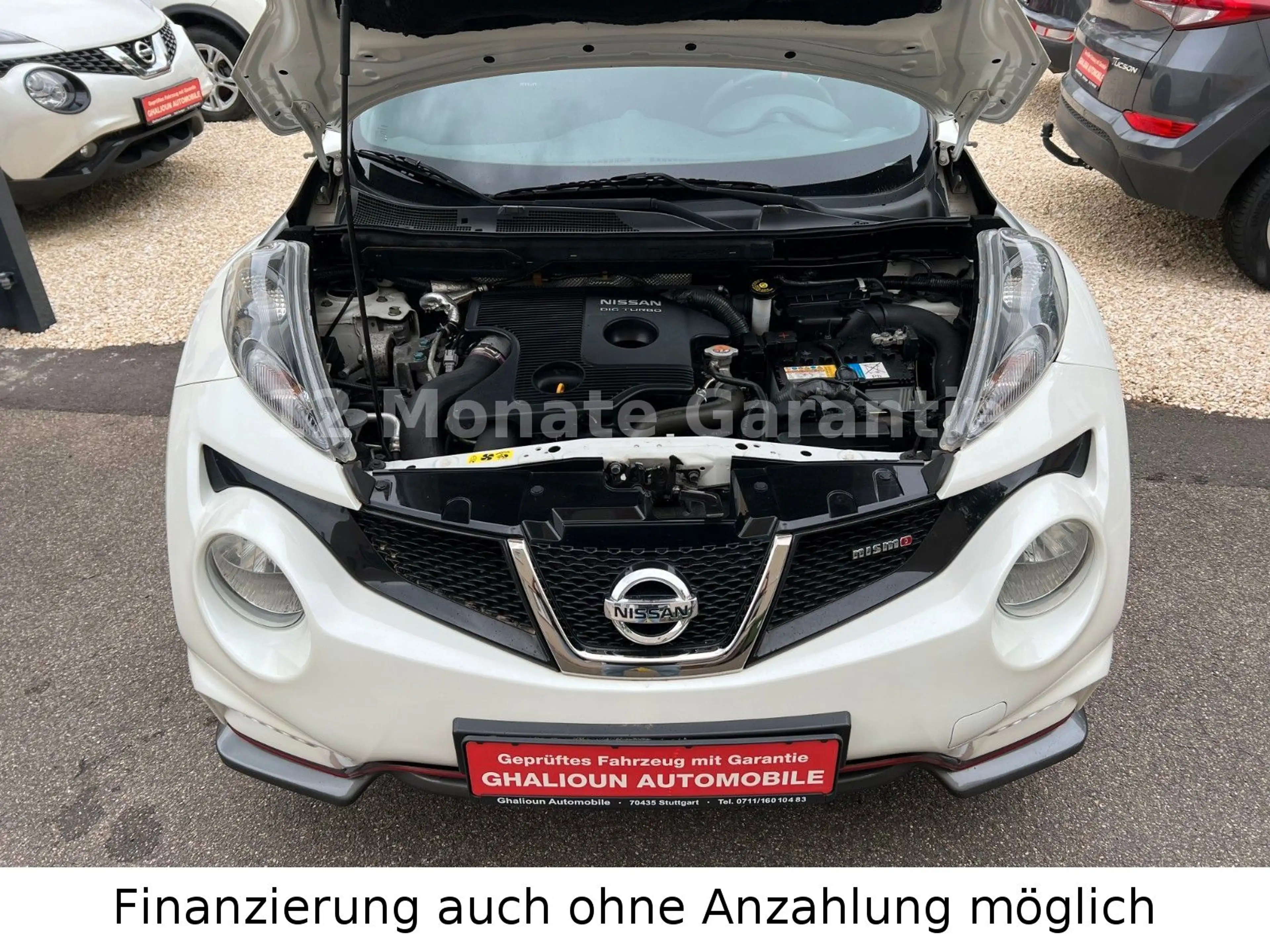 Nissan Juke nismo 4x4 Sport-Kit (Nismo) Automatik — photo 32