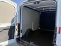 Ford Transit Transit Kasten 2,0 EcoBlue L2H2 350 Trend Weiß - thumbnail 16