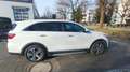 Kia Sorento 2.2 CRDi GT-Line 2xKlima 360 4xSHZ AUT Weiß - thumbnail 8