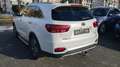 Kia Sorento 2.2 CRDi GT-Line 2xKlima 360 4xSHZ AUT Weiß - thumbnail 5