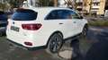 Kia Sorento 2.2 CRDi GT-Line 2xKlima 360 4xSHZ AUT Weiß - thumbnail 7