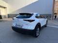 Mazda CX-30 2.5 e-Skyactiv-G Centre Line FWD 103kW Blanco - thumbnail 7