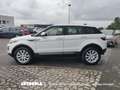Land Rover Range Rover Evoque Range Rover Evoque 2.0 TD4 Business Automatica Blanco - thumbnail 2
