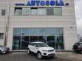 Land Rover Range Rover Evoque Range Rover Evoque 2.0 TD4 Business Automatica Blanco - thumbnail 13
