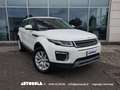 Land Rover Range Rover Evoque Range Rover Evoque 2.0 TD4 Business Automatica Blanco - thumbnail 1