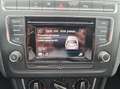 Volkswagen Polo 1.4 tdi 90 bluemotion confort Grau - thumbnail 30