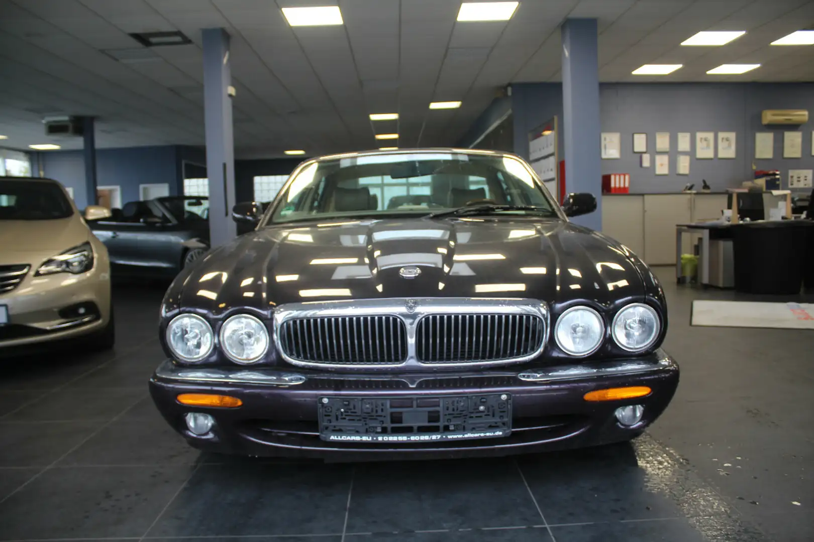 Jaguar XJ 8 Executiv - GASANLAGE - Violett - 2