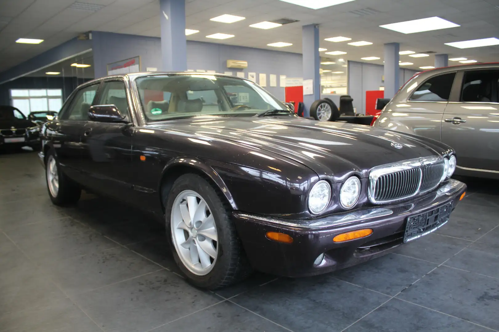 Jaguar XJ 8 Executiv - GASANLAGE - Violett - 1