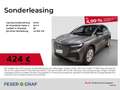 Audi Q4 e-tron 45 Vir Cockpit/Kamera/Head Up/Navi Rückfahrkamera Grau - thumbnail 1