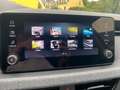 Skoda Scala Selection 1,5 TSI *Sitzhz. *Smart-Link Grau - thumbnail 15