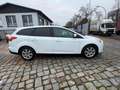 Ford Focus Focus Turnier 1.6 TDCi DPF Weiß - thumbnail 8