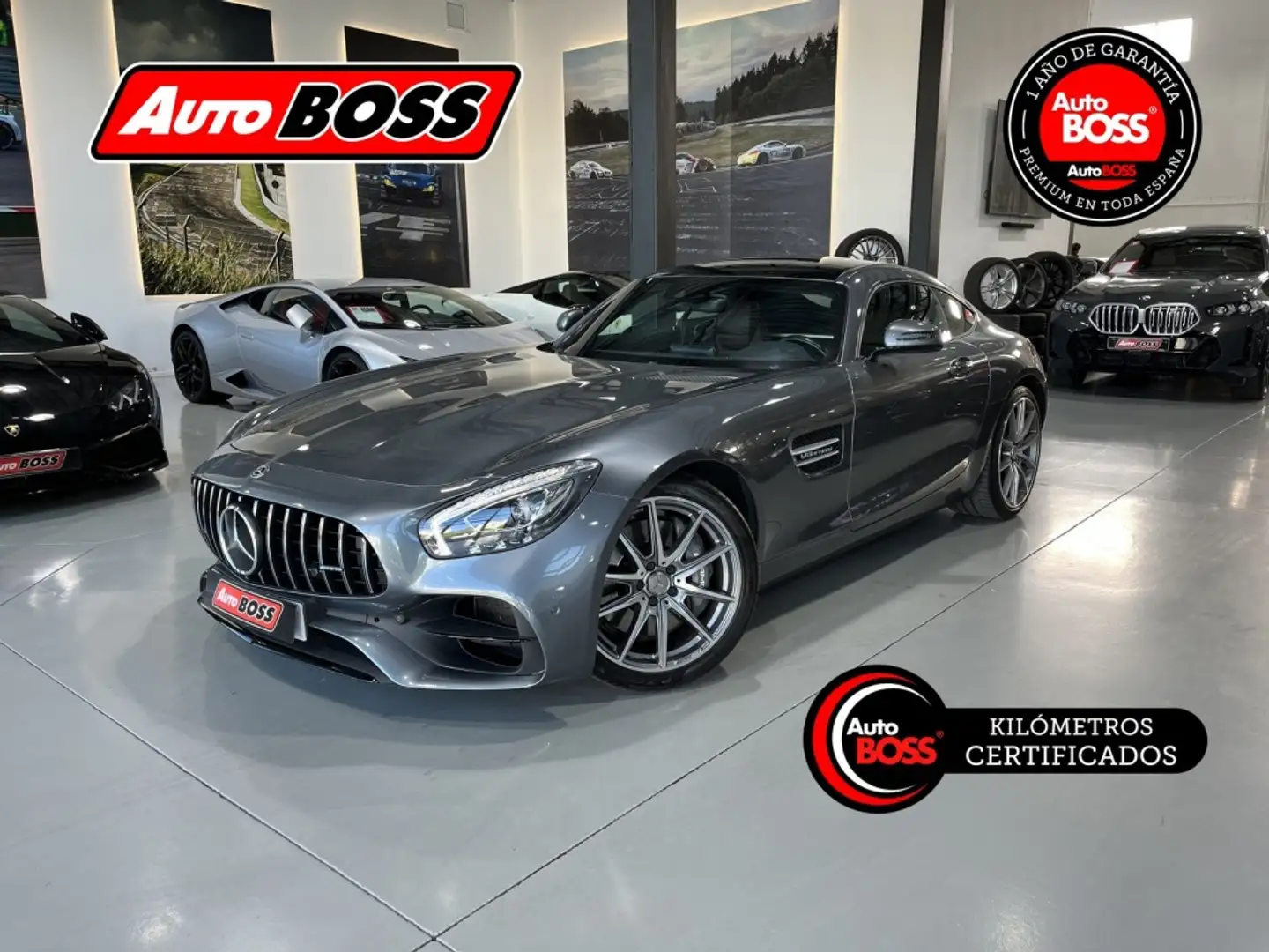 Mercedes-Benz AMG GT Coupé 462 Gris - 1