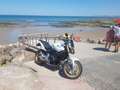 Honda Hornet Cb600FA Blanc - thumbnail 7