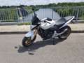 Honda Hornet Cb600FA Blanc - thumbnail 1