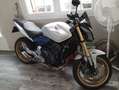 Honda Hornet Cb600FA Blanc - thumbnail 15