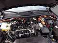 Ford Kuga 2.5 Duratec PHEV ST-LINE X Noir - thumbnail 22
