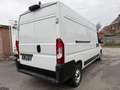 Fiat Ducato New model  140 cv   L3H2 Wit - thumbnail 6