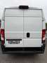 Fiat Ducato New model  140 cv   L3H2 Wit - thumbnail 5