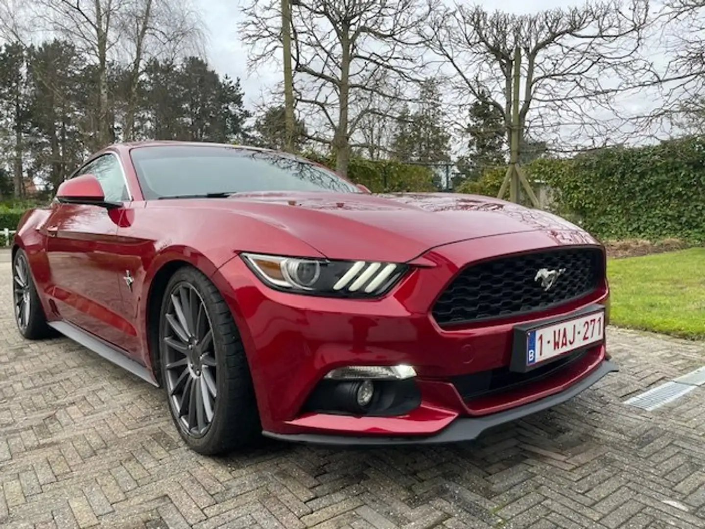 Ford Mustang Mustang 2.3 Eco Boost Rouge - 1