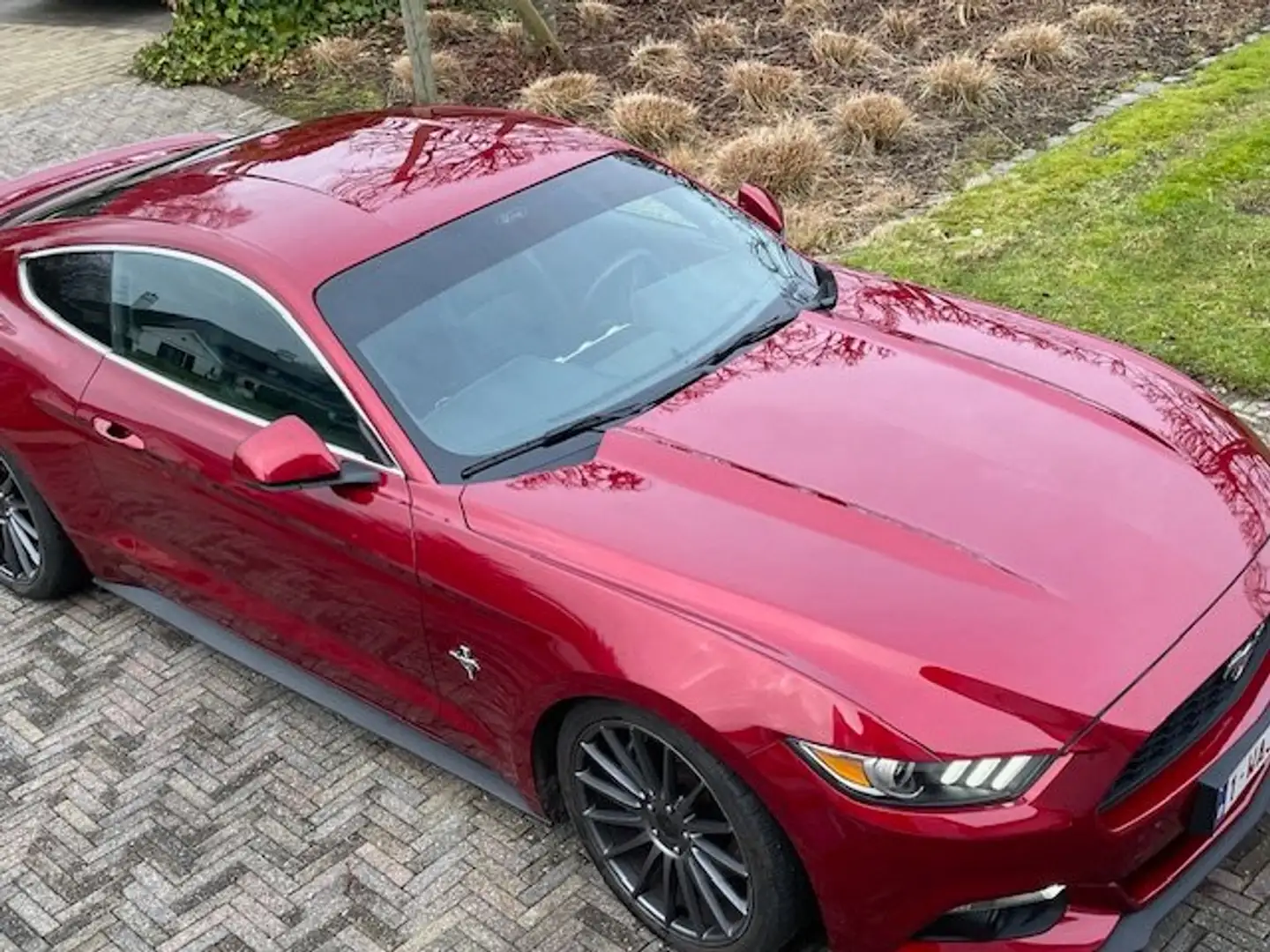 Ford Mustang Mustang 2.3 Eco Boost Rouge - 2