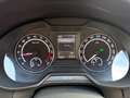 Skoda Octavia 2.0 TDI DPF RS CAM XENON SPORT LANE ASSIST TEMP... Weiß - thumbnail 10
