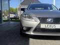 Lexus IS 300 300h Sport Edition | 18 inch, Parkeersensoren, Key Grau - thumbnail 8