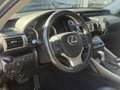 Lexus IS 300 300h Sport Edition | 18 inch, Parkeersensoren, Key Grau - thumbnail 13