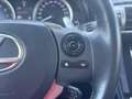 Lexus IS 300 300h Sport Edition | 18 inch, Parkeersensoren, Key Grau - thumbnail 22