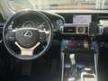 Lexus IS 300 300h Sport Edition | 18 inch, Parkeersensoren, Key Grau - thumbnail 14