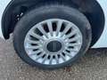 Fiat 500 1.2 Naked, '08, airco, lm velgen, pano. dak ! Bianco - thumbnail 3