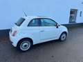 Fiat 500 1.2 Naked, '08, airco, lm velgen, pano. dak ! Blanc - thumbnail 18