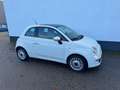 Fiat 500 1.2 Naked, '08, airco, lm velgen, pano. dak ! Blanc - thumbnail 19