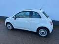Fiat 500 1.2 Naked, '08, airco, lm velgen, pano. dak ! Blanc - thumbnail 20