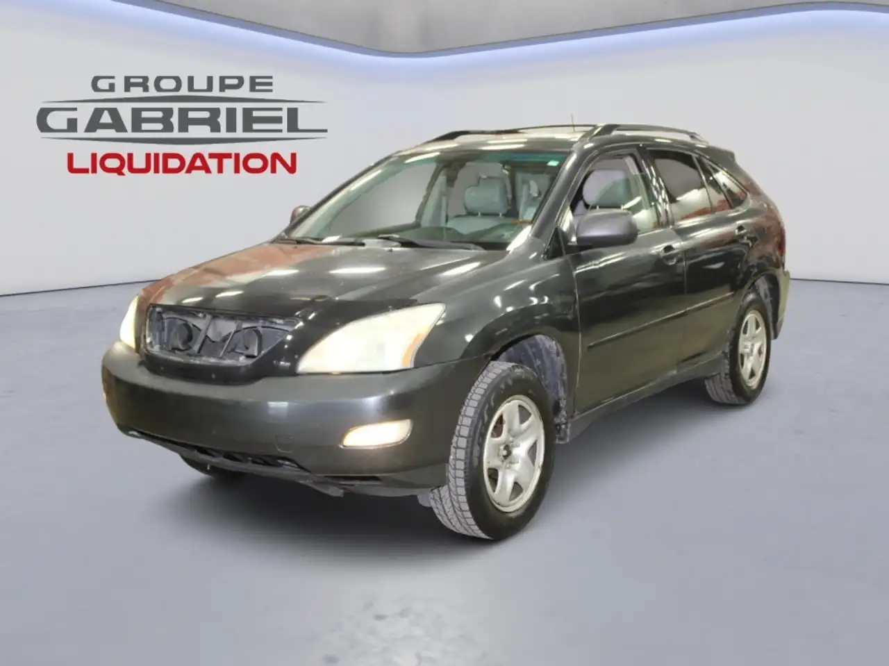 2004 Lexus RX
