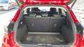 Ford Puma 1,0 EcoBoost Hybrid Titanium Aut. Rot - thumbnail 14