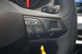 SEAT Ibiza 1,0 Reference 5türig/Klima/Tempomat Rot - thumbnail 13