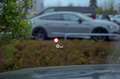 Audi S4 Avant STHZG. HUD SITZBELÜFT PANO MATRIX AHK Szary - thumbnail 14