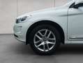 Volvo XC60 XC60 D3 Geartronic Summum Bianco - thumbnail 18