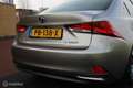 Lexus IS 300 300h Hybrid Business Line, Stoelverw, Camera, Pdc Gris - thumbnail 19