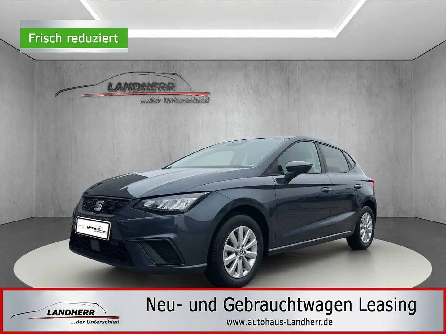 SEAT Ibiza Style 5 J. Garantie/Kamera / LED Grau - 1