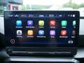 CUPRA Formentor 1.4 TSI VZ e-Hybrid COPPER MATRIX Grau - thumbnail 12