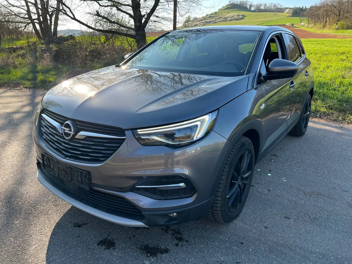 Opel Grandland X Innovation Grau - 2