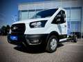 Ford Transit Transit Fahrgestell  Trend 350L4 2,0 EcoBlue 16... Weiß - thumbnail 3