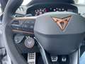 CUPRA Terramar VZ TSI 4Drive *DCC*Sennheiser*Matrix* Weiß - thumbnail 26