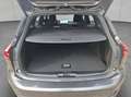 Ford Focus Turnier Hybrid Aut. ST-LINE X AHK+NAVI+LED+S Grijs - thumbnail 5