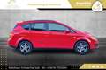 SEAT Altea XL ChiliTech TDI // 1.BESITZ // NAVI // SEHR GEPFLEGT Rot - thumbnail 3