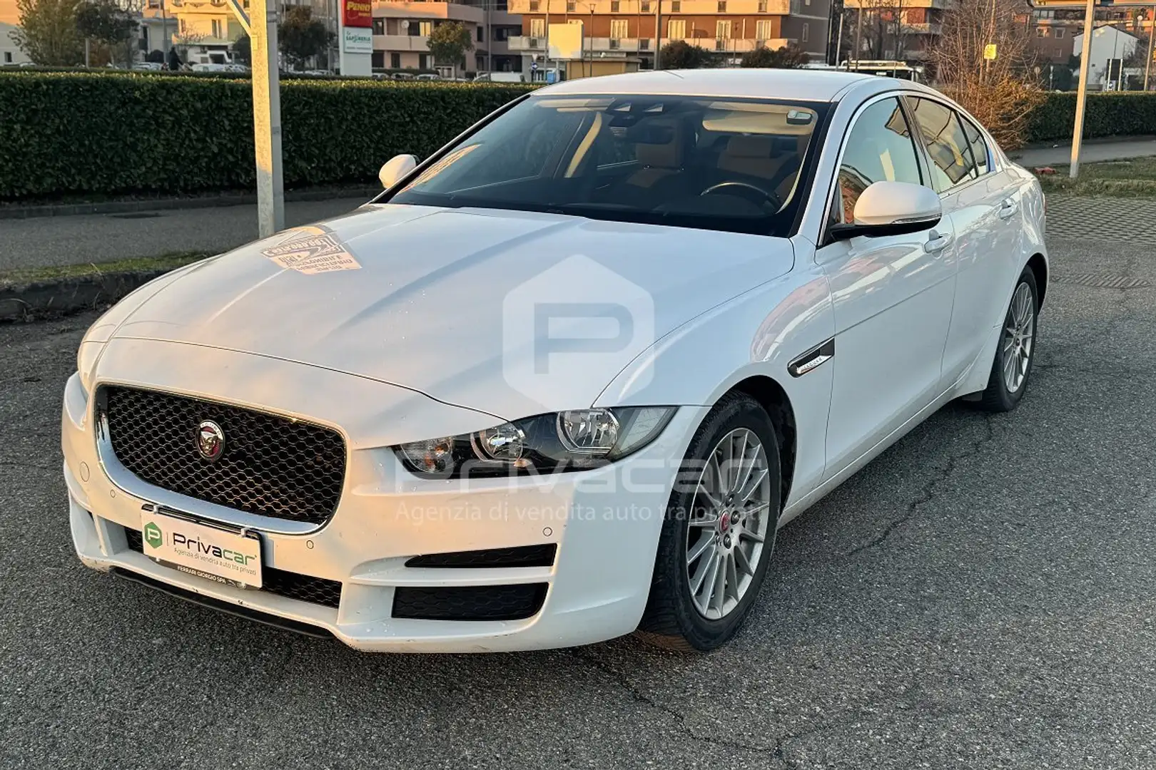 Jaguar XE XE 2.0 D 163 CV Portfolio Blanc - 1
