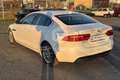 Jaguar XE XE 2.0 D 163 CV Portfolio Blanc - thumbnail 7